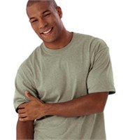 Anvil Heavyweight 100% Cotton T-Shirt
